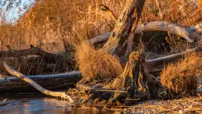 Wschód słońca nad jeziorem Dargin, most Sztynorcki, grudzień 2024 r. - zdjęcie 33