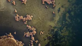 Wschód słońca nad jeziorem Dargin, most Sztynorcki, grudzień 2024 r. - zdjęcie 20