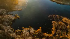 Wschód słońca nad jeziorem Dargin, most Sztynorcki, grudzień 2024 r. - zdjęcie 31