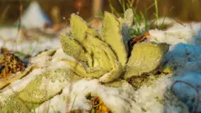 Zimowe mobilne biuro Mazury24, czyli Arek na biwaku, grudzień 2024 r. - zdjęcie 32