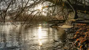 Zimowe mobilne biuro Mazury24, czyli Arek na biwaku, grudzień 2024 r. - zdjęcie 20