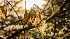 Zimowe mobilne biuro Mazury24, czyli Arek na biwaku, grudzień 2024 r. - zdjęcie 13