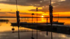 Wschód słońca nad jeziorem Niegocin w Wilkasach, grudzień 2024 r. - zdjęcie 31