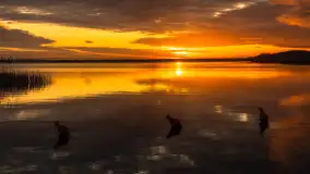 Wschód słońca nad jeziorem Niegocin w Wilkasach, grudzień 2024 r. - zdjęcie 4