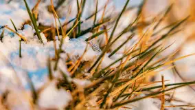 Zachód słońca nad jeziorem Tajty, styczeń 2025 r. - zdjęcie 13