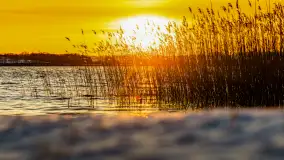 Zachód słońca nad jeziorem Tajty, styczeń 2025 r. - zdjęcie 30