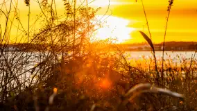 Zachód słońca nad jeziorem Tajty, styczeń 2025 r. - zdjęcie 35