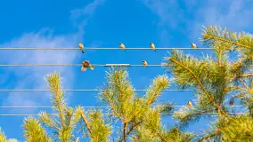 Mix mazurskich ujęć z szuflady, 2024 cz. III - zdjęcie 4