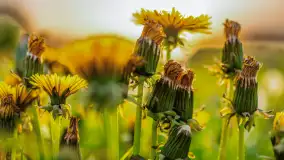 Mix mazurskich ujęć z szuflady, 2024 cz. III - zdjęcie 12