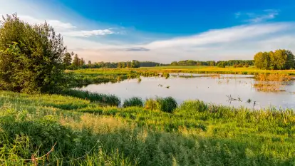 Mix mazurskich ujęć z szuflady, 2024 cz. III