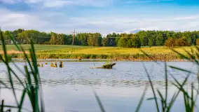 Mix mazurskich ujęć z szuflady, 2024 cz. III - zdjęcie 25