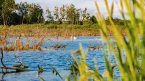 Mix mazurskich ujęć z szuflady, 2024 cz. III - zdjęcie 21