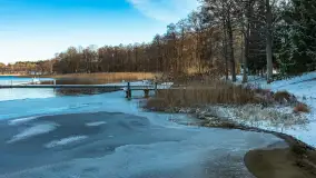 Łabędzi Ostrów w Pięknej Górze w zimowej aurze, styczeń 2025 r. - zdjęcie 24