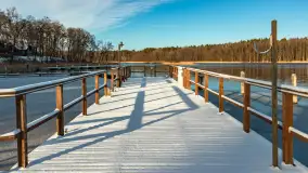 Łabędzi Ostrów w Pięknej Górze w zimowej aurze, styczeń 2025 r. - zdjęcie 15