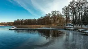 Łabędzi Ostrów w Pięknej Górze w zimowej aurze, styczeń 2025 r. - zdjęcie 27