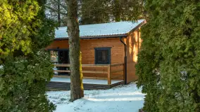 Łabędzi Ostrów w Pięknej Górze w zimowej aurze, styczeń 2025 r. - zdjęcie 11