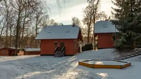 Łabędzi Ostrów w Pięknej Górze w zimowej aurze, styczeń 2025 r. - zdjęcie 19