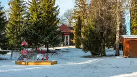 Łabędzi Ostrów w Pięknej Górze w zimowej aurze, styczeń 2025 r. - zdjęcie 13