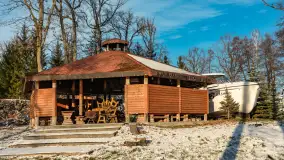 Łabędzi Ostrów w Pięknej Górze w zimowej aurze, styczeń 2025 r. - zdjęcie 25