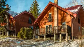 Łabędzi Ostrów w Pięknej Górze w zimowej aurze, styczeń 2025 r. - zdjęcie 36