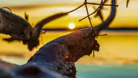 Wschód słońca nad jeziorem Święcajty w Kolonii Rybackiej - zdjęcie 24