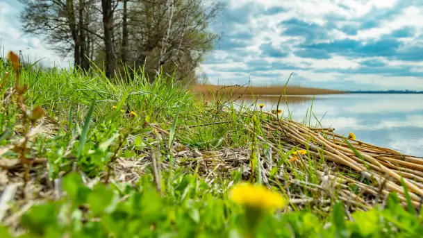 Jezioro Gawlik na początku później wiosny, maj 2021 r.
