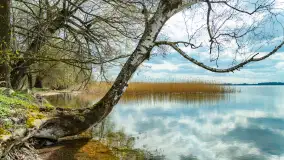 Jezioro Gawlik na początku później wiosny, maj 2021 r. - zdjęcie 3