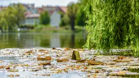 Wiosna w Kętrzynie, maj 2021 r. - zdjęcie 11