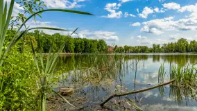 Wiosna w Kętrzynie, maj 2021 r. - zdjęcie 1