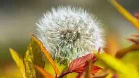 Wiosna w Kętrzynie, maj 2021 r. - zdjęcie 8