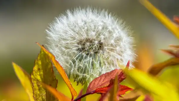 Wiosna w Kętrzynie, maj 2021 r. - zdjęcie 8