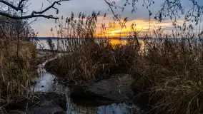 Zachód słońca nad jeziorem Dargin, styczeń 2025 r. - zdjęcie 9