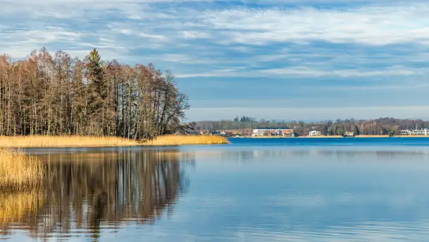 Kanał Kula i mazurska zima... bez śniegu, styczeń 2025 r. - zdjęcie 10
