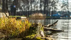 Kanał Kula i mazurska zima... bez śniegu, styczeń 2025 r. - zdjęcie 25