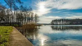 Kanał Kula i mazurska zima... bez śniegu, styczeń 2025 r. - zdjęcie 31