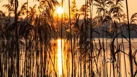 Zachód słońca nad jeziorem Okrągłym, luty 2025 r. - zdjęcie 5