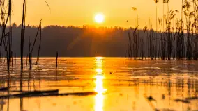 Zachód słońca nad jeziorem Okrągłym, luty 2025 r. - zdjęcie 23