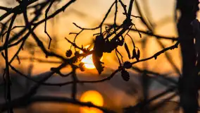 Zachód słońca nad jeziorem Okrągłym, luty 2025 r. - zdjęcie 12