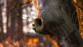 Zachód słońca nad jeziorem Okrągłym, luty 2025 r. - zdjęcie 4