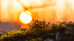 Zachód słońca nad jeziorem Okrągłym, luty 2025 r. - zdjęcie 19