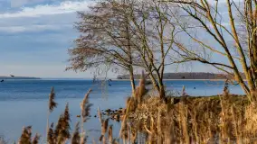 Popołudnie nad jeziorem Kisajno przy Pierkunowie, styczeń 2025 r. - zdjęcie 6