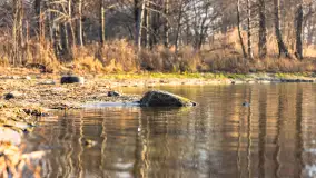 Popołudnie nad jeziorem Kisajno przy Pierkunowie, styczeń 2025 r. - zdjęcie 10