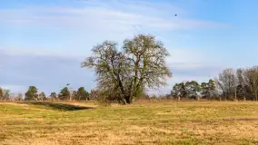 Popołudnie nad jeziorem Kisajno przy Pierkunowie, styczeń 2025 r. - zdjęcie 8