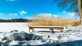 Zatoka Mrówki i jezioro Ryńkie w zimowej odsłonie, luty 2024 r. - zdjęcie 5