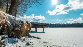 Zatoka Mrówki i jezioro Ryńkie w zimowej odsłonie, luty 2024 r. - zdjęcie 16