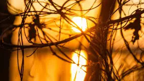 Zachód słońca nad jeziorem Tałty, luty 2025 r. - zdjęcie 17