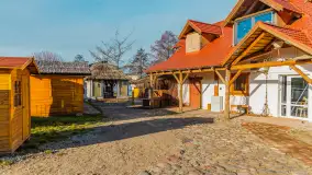 Tło dla mew w okowach zimy... ale bez śniegu, styczeń 2025 r. - zdjęcie 13