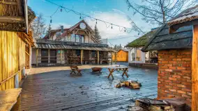 Tło dla mew w okowach zimy... ale bez śniegu, styczeń 2025 r. - zdjęcie 9