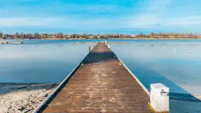 Tło dla mew w okowach zimy... ale bez śniegu, styczeń 2025 r. - zdjęcie 15