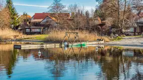 Tło dla mew w okowach zimy... ale bez śniegu, styczeń 2025 r. - zdjęcie 5
